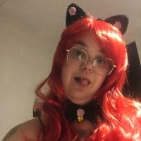 DadoTigresse webcam model