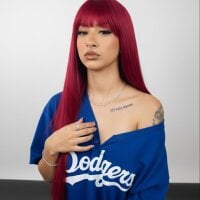 Wild_destruction_21 webcam