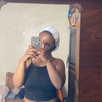 Rowene webcam model