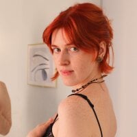 FreiRene webcam model