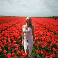 sweetsofiaxxxn Offline chat-huone