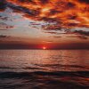 Walencia_Grewis' Offline XXX Chat