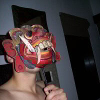 FireFox-- webcam