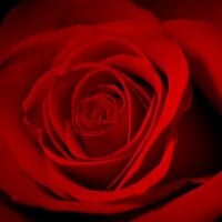 SaintJames365's Profile Pic
