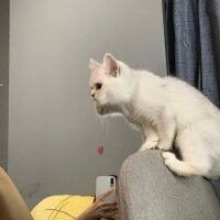 bianyuan2025 webcam