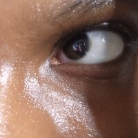 Croissantkitten webcam