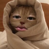 kaikaimandayonn avatarképe