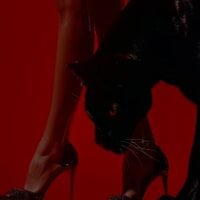 ToxicDomme's Avatar Pic