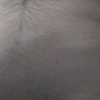Adeforyou