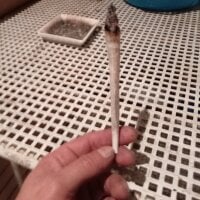 SO-UNICO webcam model