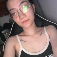 Piii06 webcam model