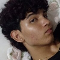 stellar_3 webcam model