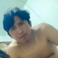 Alcidt webcam