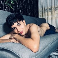 Sebas3006jsjc webcam model