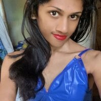 Модель SIHUMISEXY