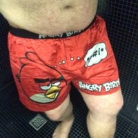 Satinshort1