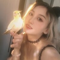 LuckyFish webcam
