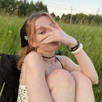 Модель EnigmaSee