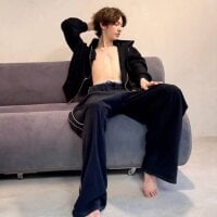 _Den1s_ webcam model