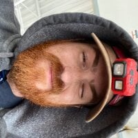 GingerBushe офлайн чат стая