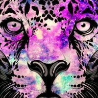 latsexygirl2000's Offline Chat Room