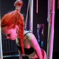 RED_FOX95 webcam model