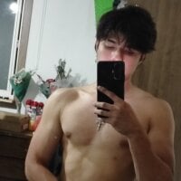 Luvviko webcam