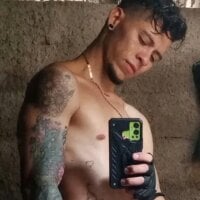HalcyonBabble webcam