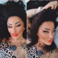 ASSERINAAA webcam model