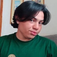 arsorr webcam