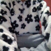 Coupleitaliano's Offline Chat Room