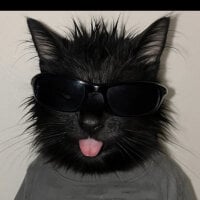 elusuauri0's Avatar Pic