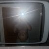 MaxVibe_