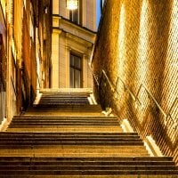 Domeinen 아바타 사진