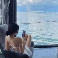 -Doraemonn webcam model