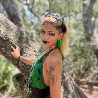 Harley_cams