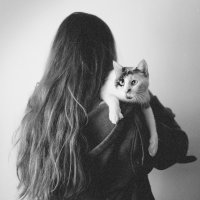 LollaTailor_'s Offline Chat Room