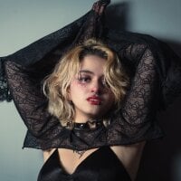 Navier__ webcam model