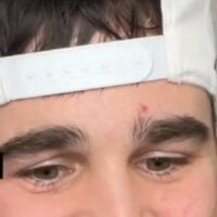 mrwhiteDD model avatar