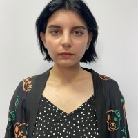 RobertaBlir Adlı Modelin Çevrimdışı Sohbet Odası