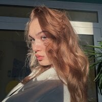 MaudBench webcam model