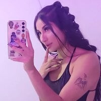 amber_rouse_ws webcam model