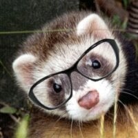 Аватар OolongTee