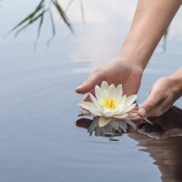 Bilik Sembang Luar Talian ST0PWAST3Y0URL1FE0NPORN