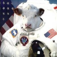 mooncow53's Profile Pic