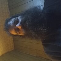 ghost123Movies Offline chatroom