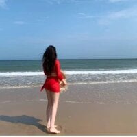 YunShan-33 webcam model