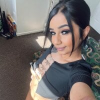 s_1105 webcam