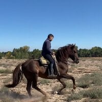 Javix77788 model avatar