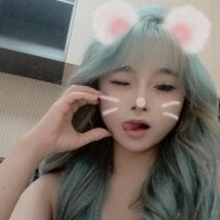 Nana5200 webcam